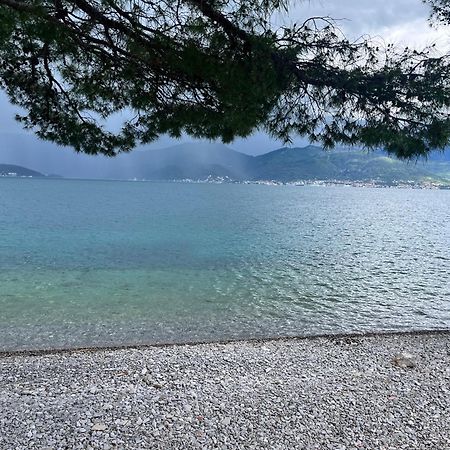 Apartments Obradovic Krasići Bagian luar foto